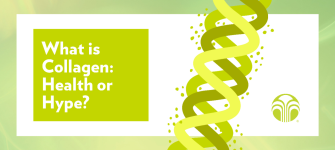 What is collagen In-Article image 01 What is Collagen: Health or Hype?